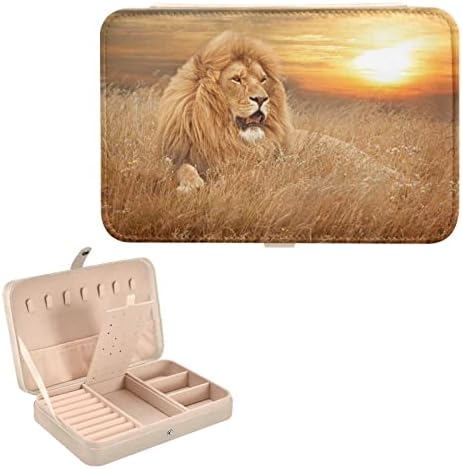 Innewgogo lavovi mali nakit kutija za kožni nakit organizator putovanja mini pokloni za žene