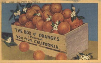 Pozdrav iz kalifornijske razglednice