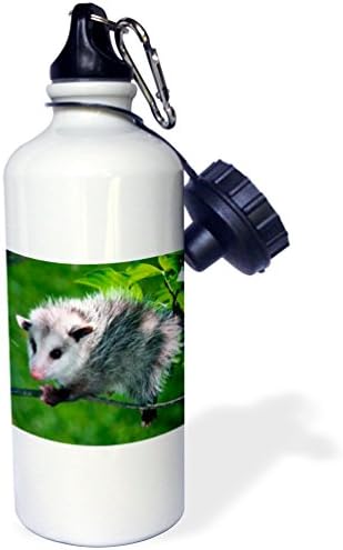 3Drose Opossum Sportska boca vode, 21 oz, bijela