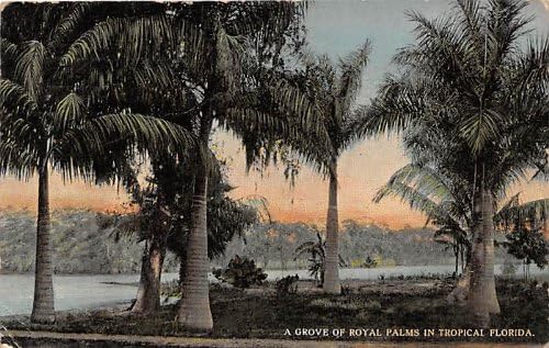 Razgledna razglednica Florida