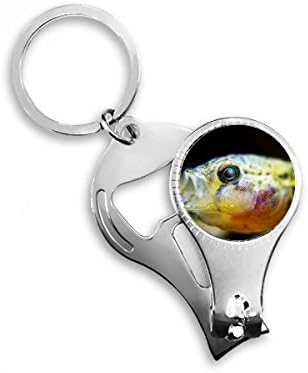 Morski organizam Mali tropska riba noktiju za nokat za nokat za nosač otvora za otvarač za bočicu za bočicu