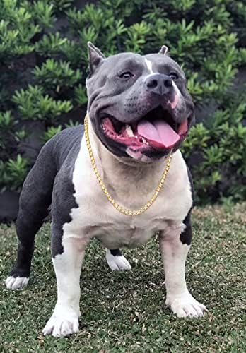Zlatni lanac Halukakah Iced za velike pse, ogrlica s dijamantskim teniskom lancem 6 mm 18k Real zlatno pozlaćeno 16 veličine