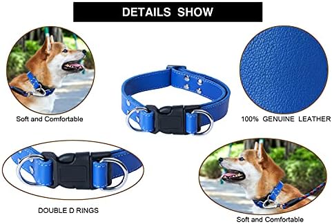 PPEETT meka kožna kožna ogrlica Podesiva veličina prikladna za velike srednje i male pse koji trče i hodaju.Black/coffee/red/Blue