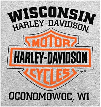 Harley-Davidson muška košulja, Willie G lubanje dugih rukava, siva 30296651