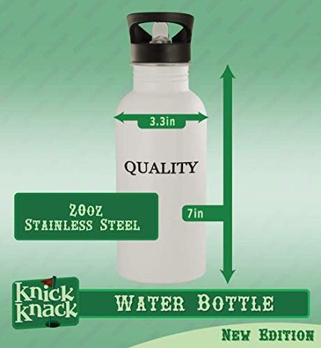 Knick Knack pokloni shandie - boca vode od nehrđajućeg čelika od 20oz, srebro